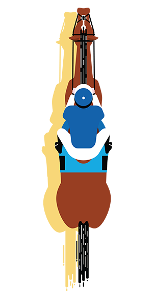 Horse 2