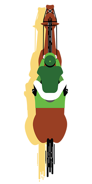 Horse 4