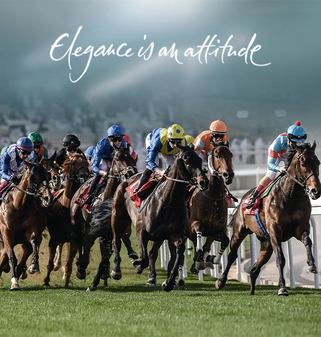 Horse Race